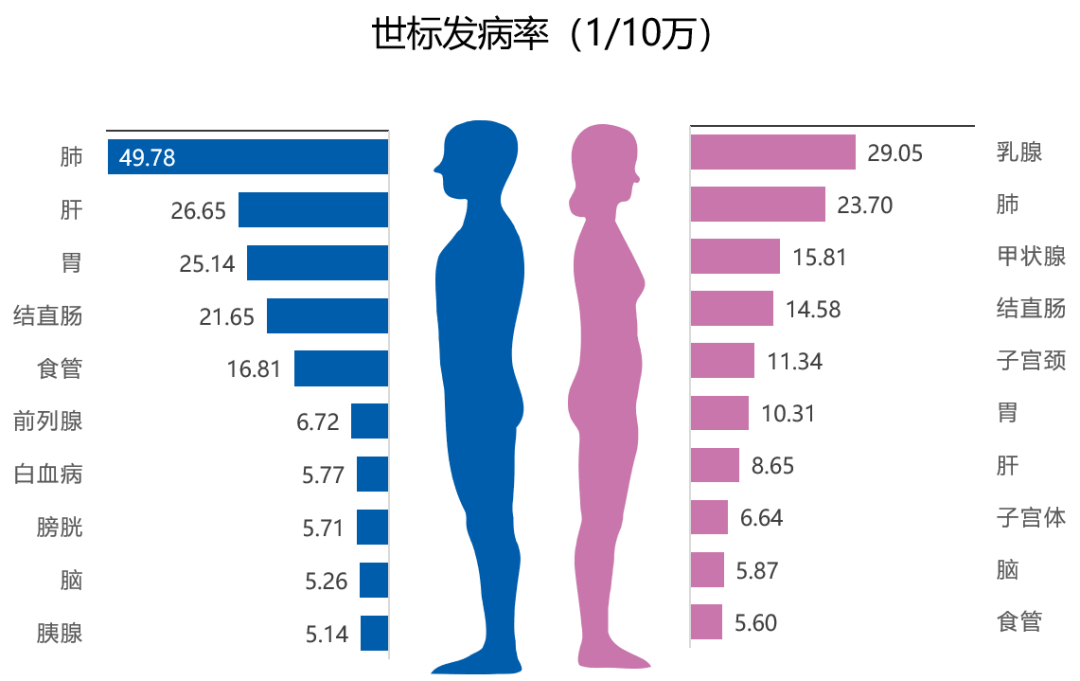 最新！国家癌症发布中心：2022年全国癌症报告(图9)
