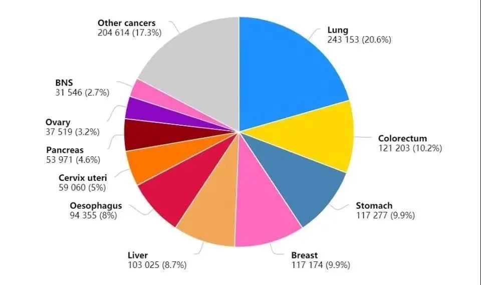 最新！国家癌症发布中心：2022年全国癌症报告(图21)